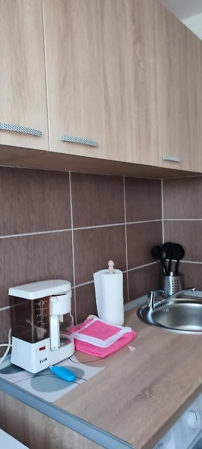 Sibiu Apartament Bucareste 0*,